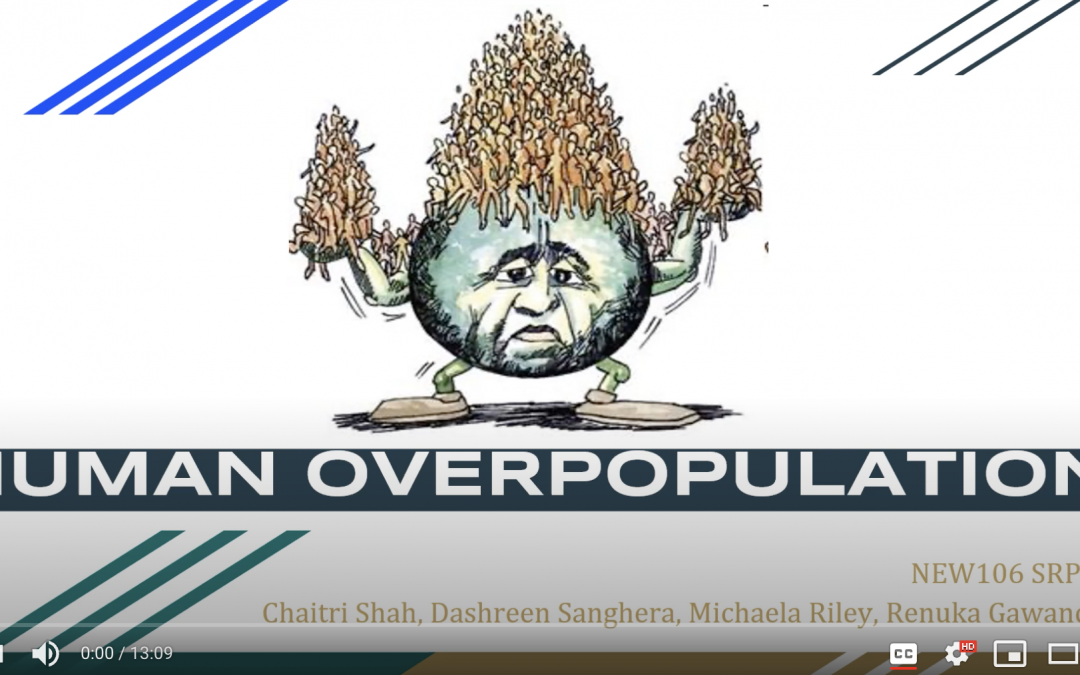 Overpopulation: are there too many of us?