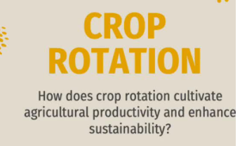 Crop Rotation: How does crop rotation cultivate agricultural productivity and enhance sustainability