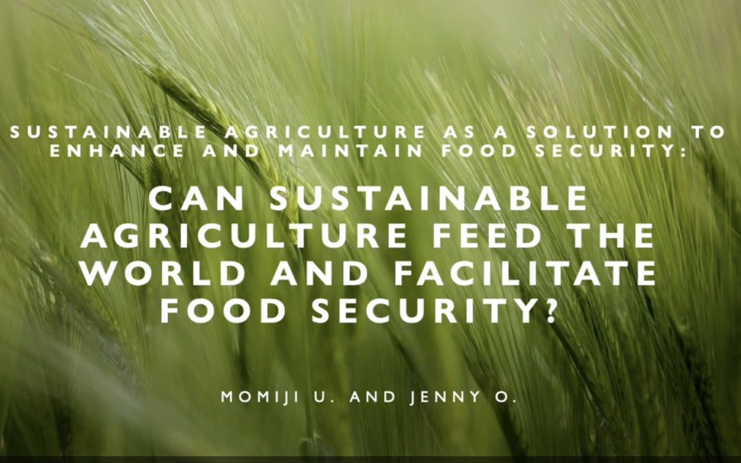 Sustainable Agriculture as a Solution to Enhance and Maintain Food Security