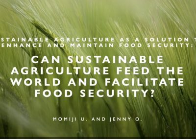 Sustainable Agriculture as a Solution to Enhance and Maintain Food Security